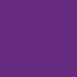 4106 violet