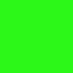 P0026 fluo green