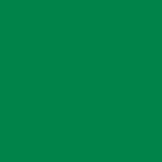 4041 green