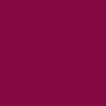 P0016 burgundy