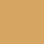 A0073 tan